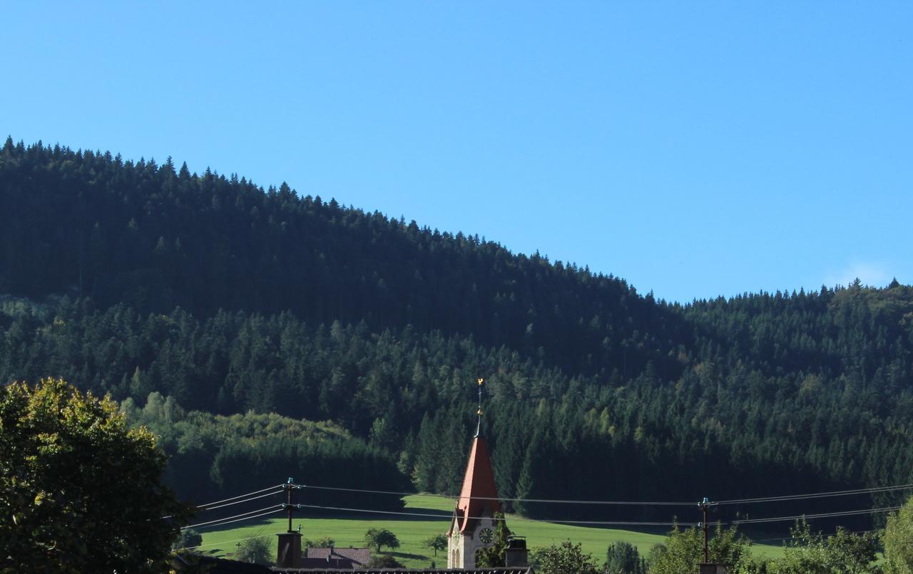 Hotel Heuberger Hof, Wehingen Exteriér fotografie